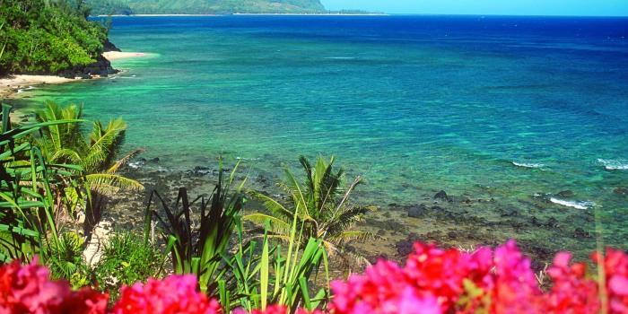 1920x1080 Delightful nature beach Wwallpaper - Beach Wallpapers