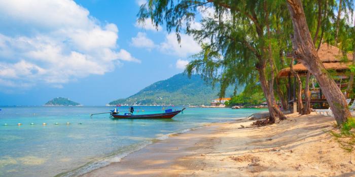 2560x1440 High Resolution, Naturaleza, Widescreen, Palmeras,hd - Nature Beach