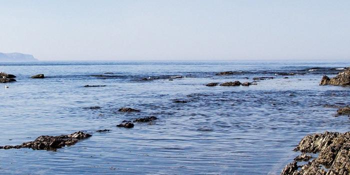 1242x2208 Sea Rock Ocean Beach Nature Summer Android wallpaper - Android HD