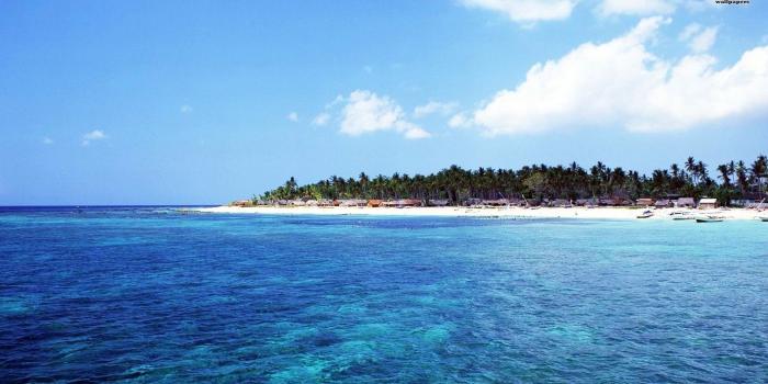 1920x1080 Nature Beach Sand Trees Bali Sea wallpaper 2018 in Beach