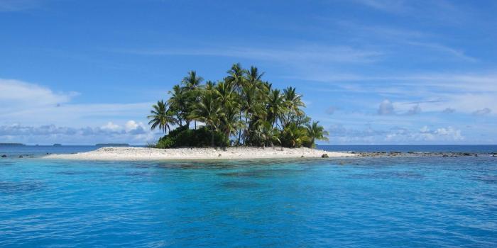 1920x1080 island, Palm Trees, Landscape, Nature, Beach, Sea Wallpapers HD