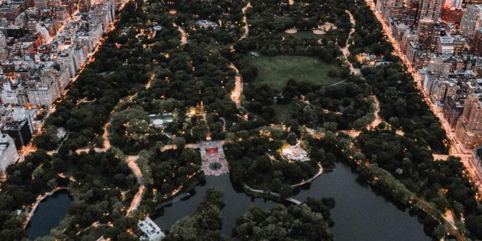 1000x1500 500+ Central Park Pictures - NYC [HD] | Download Free Images on Unsplash