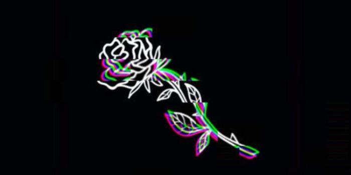 750x1332 Kaitlyn Acosta on Wallpaper in 2019 | Neon wallpaper, Trippy