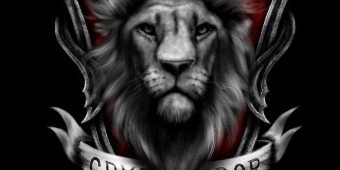 1920x2773 Harry Potter House Fanart, Hd Wallpapers & backgrounds Download