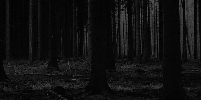 1242x2208 Scary HD Wallpaper (61+ images)