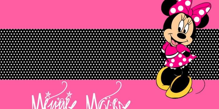1131x707 35+ Minnie Mouse Wallpapers - Download at WallpaperBro