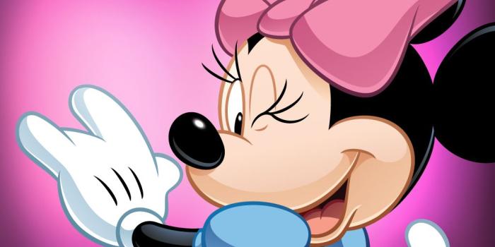 1024x768 Minnie Mouse wallpaper | 1024x768 | #48504