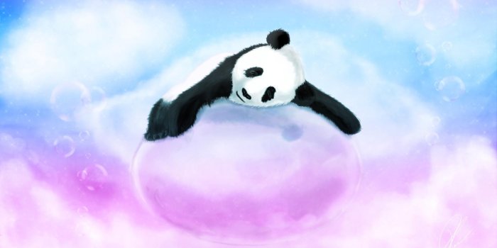 1920x1080 Panda bear backgrounds Gallery