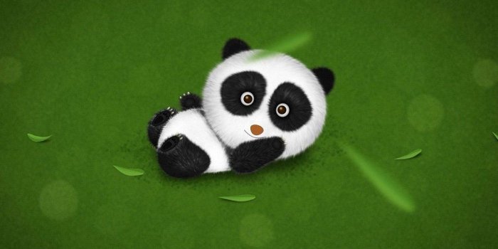 1024x768 Panda Bear Wallpapers HD Backgrounds Download Desktop • IPhones