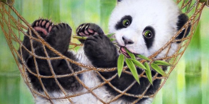 1920x1080 10 Best Cute Baby Panda Images FULL HD 1920×1080 For PC Background