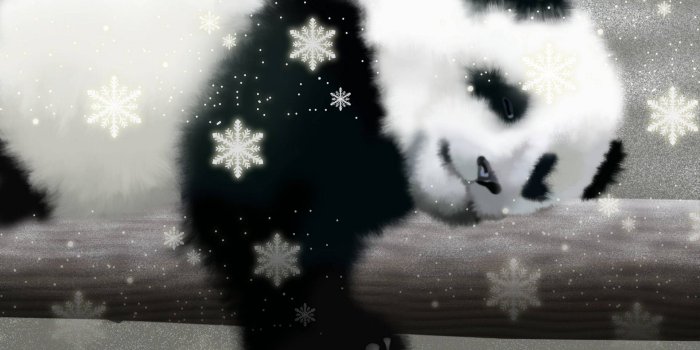 1920x1080 Cute Panda Bear Wallpaper | 2019 Cute Wallpapers