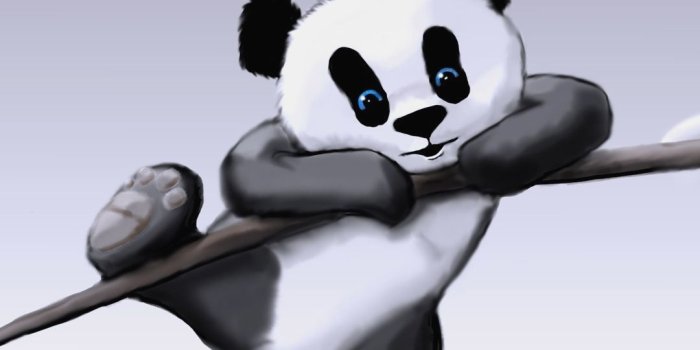 1080x1920 10 Wallpaper Panda Adorable - Download Wallpaper HD For PC Computer