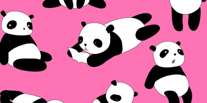 1080x1920 Kawaii Tare Panda Wallpaper ·① WallpaperTag