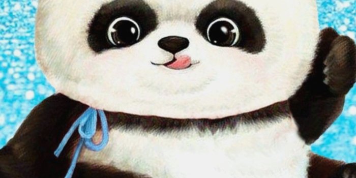 1080x2220 10 Wallpapers Panda Bear - Download Wallpaper HD For PC Computer