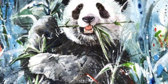 1439x1280 panda bear Wallpaper by Lynnette_S - cd - Free on ZEDGE™