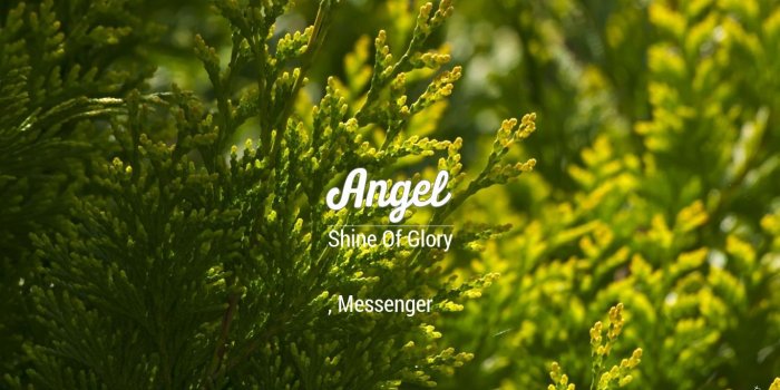 1366x768 Angel 3D Name Wallpaper for Mobile, Write अन्गेल Name on Photo