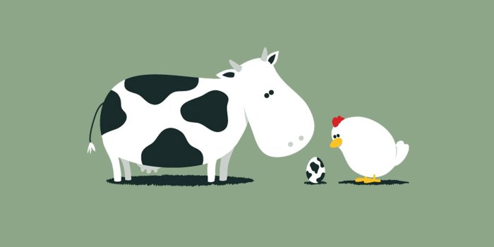 1600x1200 Funny Image Hd – download HD at digitalimagemakerworld.com chargeless