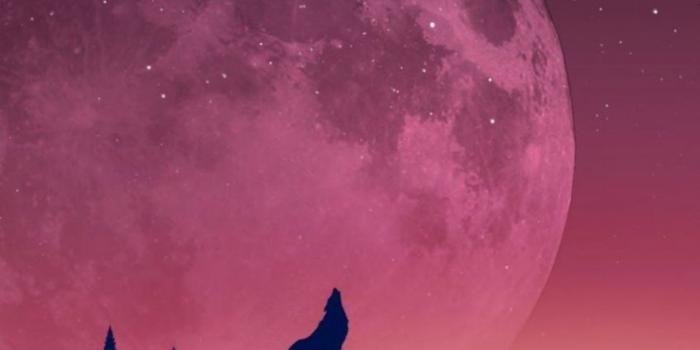 846x1488 Wallpaper For Phone | Wallpapers Emoji