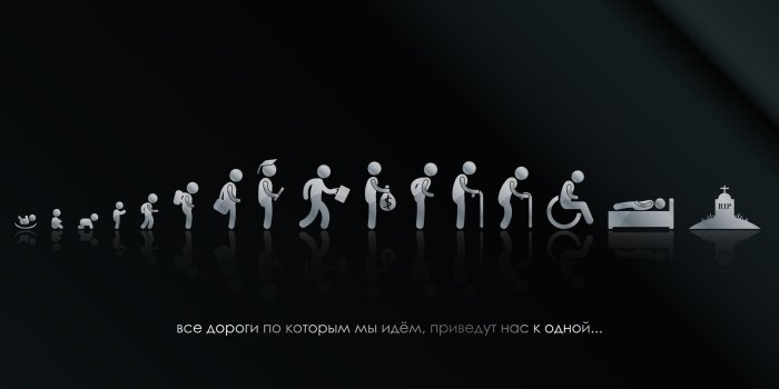 2560x1440 Clever Phone Wallpapers (55+ images)