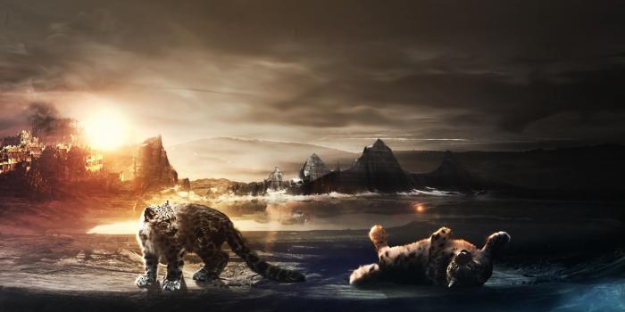 1920x1080 Cubs Laptop Wallpapers - Top Free Cubs Laptop Backgrounds