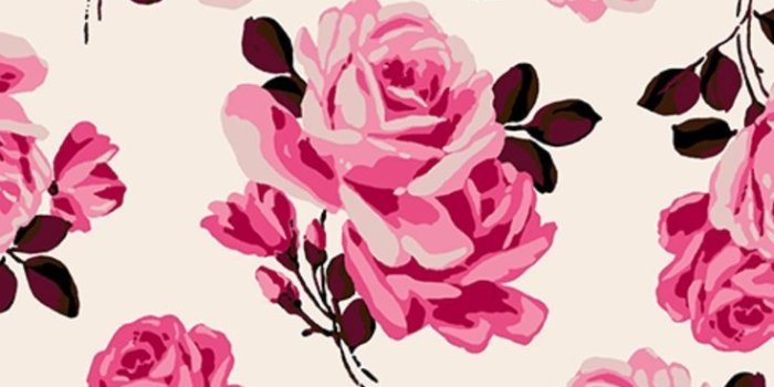 736x1308 30+ Girly Flower Wallpapers - Download at WallpaperBro