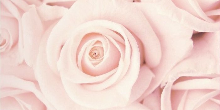 719x1325 Summer's Color Street on Girly in 2019 | Pink wallpaper