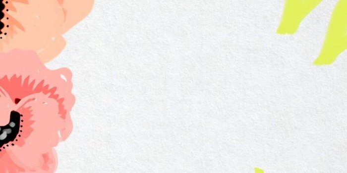 1080x1920 Cute Girly Flower Wallpaper For Mobile | Best HD Wallpapers