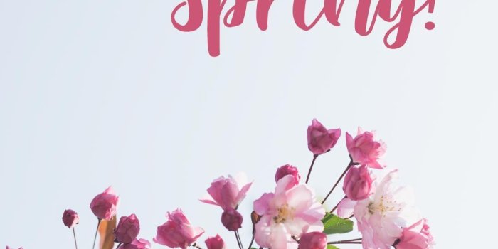 1080x1920 Spring free mobile wallpaper available for iPhone and Android