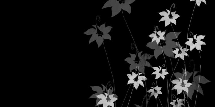 1024x768 Black And White Flowers Widescreen Wall - Flower Wallpaper Hd In