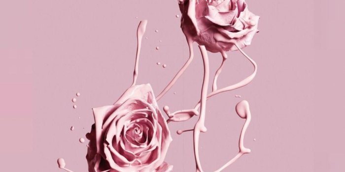 1242x2208 aesthetics #flowerswallpaperiphone | Flower in 2019 | Pink wallpaper