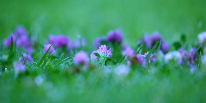 1920x1200 Nice girly hd wallpaper