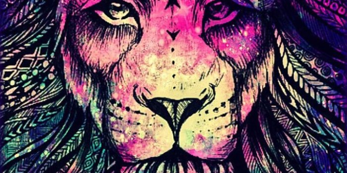 720x1280 Wallpaper Iphone - Rainbow Lion Galaxy Wallpaper #androidwallpaper