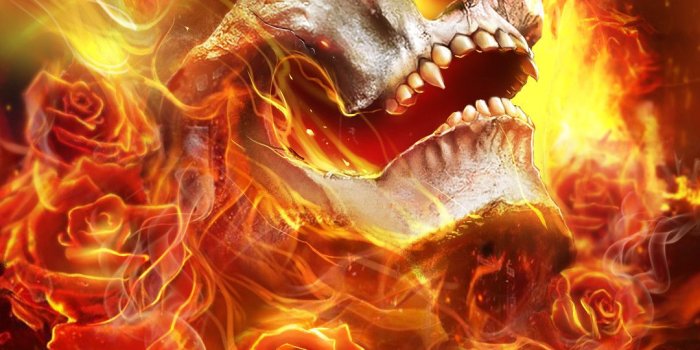 1080x1920 57+ Skull Fire Wallpapers on WallpaperPlay