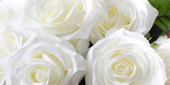 1080x1080 Cheap White Rose Flower Wallpaper, find White Rose Flower Wallpaper