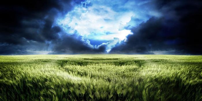 1920x1200 Football Field Wallpapers Wallpaper 1920x1200