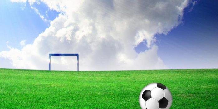 1024x768 Football Field Wallpaper 05 - [1024x768]