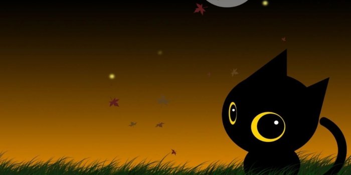 1366x768 10 Top Cute Cat Halloween Wallpaper Full Hd 1920×1080 - Cute Black
