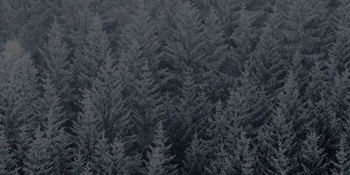 1242x2208 iPhone7papers - ad04-wallpaper-ios8-iphone6-plus-apple-official