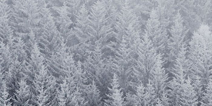 1242x2208 iPhone7papers - ad03-wallpaper-ios8-iphone6-plus-apple-official