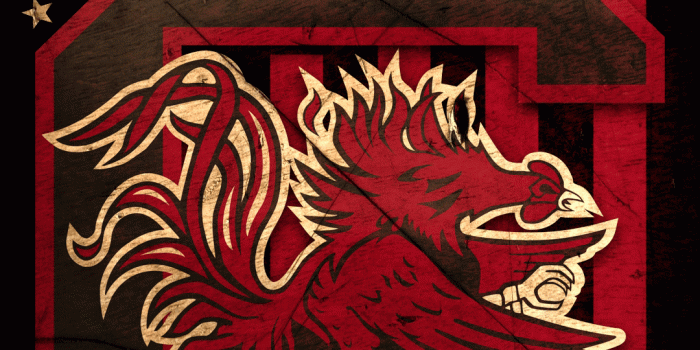 1080x1920 Gamecock iPhone Wallpapers - Top Free Gamecock iPhone Backgrounds