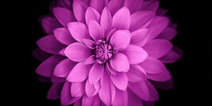 750x1334 Default Iphone Wallpapers (28+ images) on Genchi.info