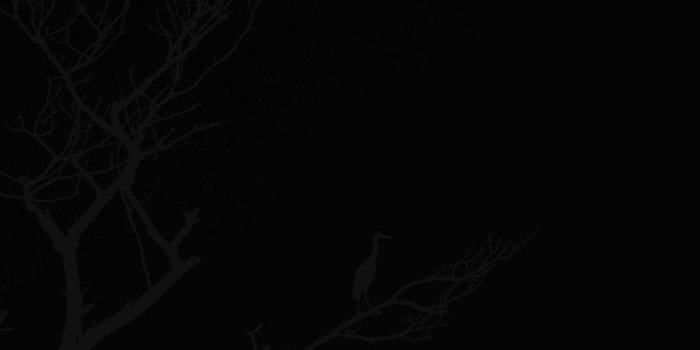 1242x2208 74+ Android Dark Wallpapers on WallpaperPlay