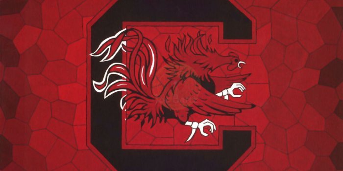 1024x813 Gamecock iPhone Wallpapers - Top Free Gamecock iPhone Backgrounds