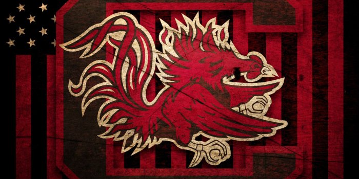 2048x2048 64+ Gamecocks Wallpapers on WallpaperPlay