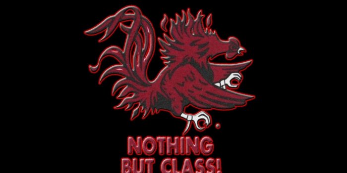 1920x1440 Download free gamecocks wallpapers for your mobile phone most