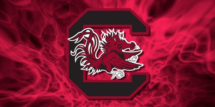 1040x960 50+] Gamecocks Wallpaper for Android on WallpaperSafari