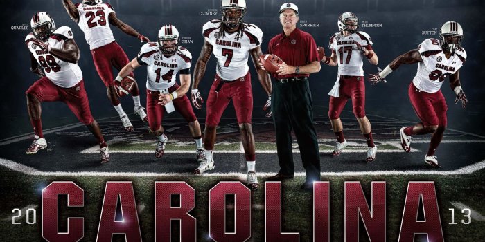 2532x1994 Gamecock Wallpapers and Screensavers (53+ images)