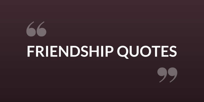 2160x2160 Friendship Quotes, Picture Quotes, Wish Quotes, Friendship Status