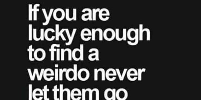735x1103 35 Cute Best Friends Quotes - True friendship Quotes With Images