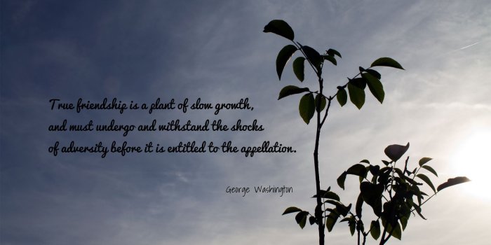 1920x1080 18+] Friends Quotes Wallpapers on WallpaperSafari